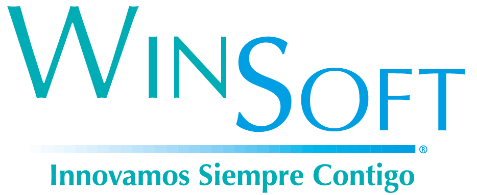 WinSoft IT, C.A.